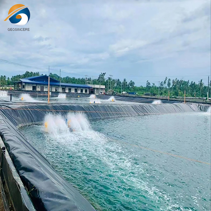 Что такое гидроизоляционная мембрана HDPE? Что такое гидроизоляционная мембрана HDPE?