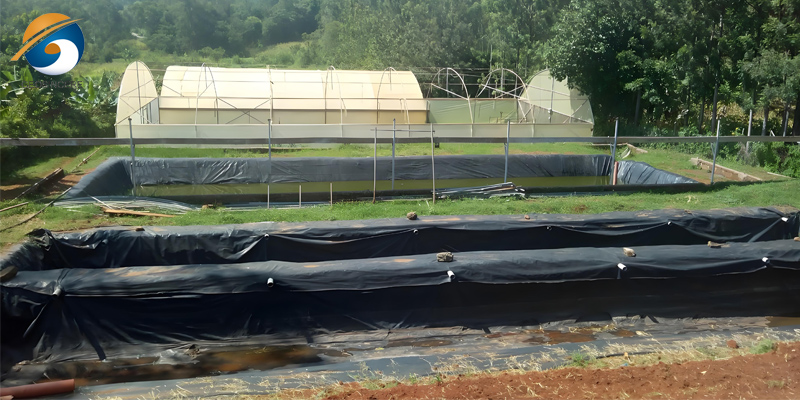 Revestimiento de estanque de LLDPE Revestimiento de estanque de LLDPE