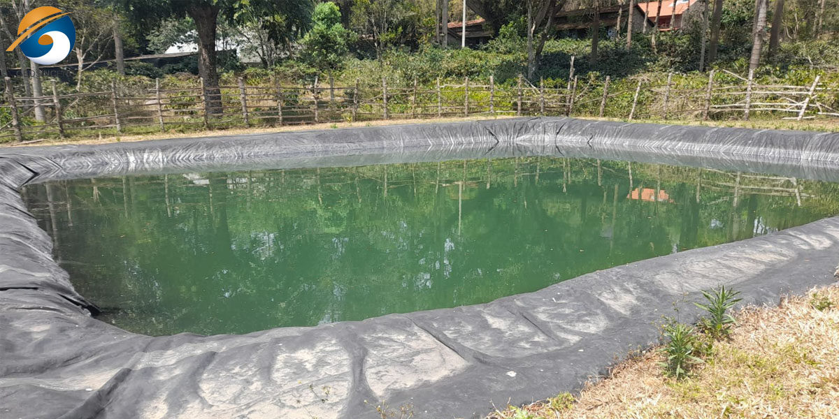 Lagoa com Forro Lagoa com Forro