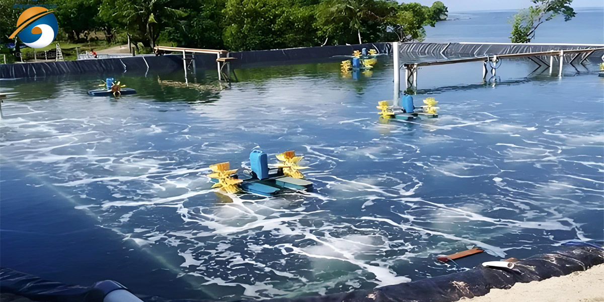 Revestimento em PEAD para viveiros de peixes Forro de viveiro de peixes em PEAD para pisciculturas