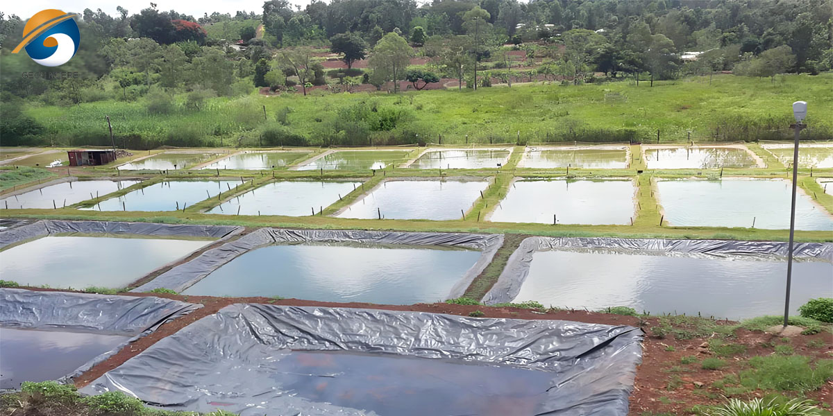 Geomembrana HDPE durável para aquacultura Geomembrana HDPE durável para aquacultura