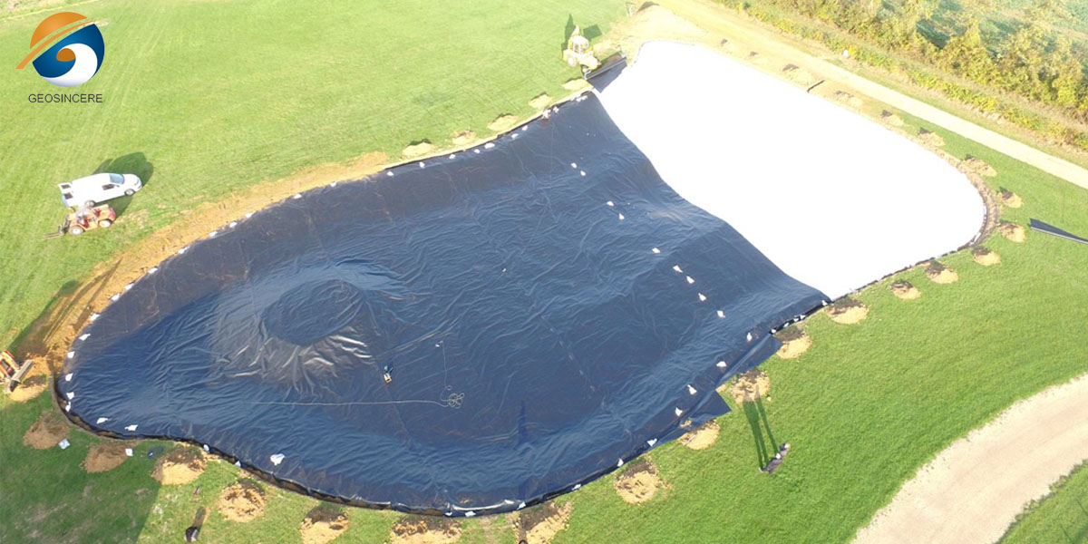 Geomembrana de PEAD de 60 mil para aquacultura e tanques de peixes