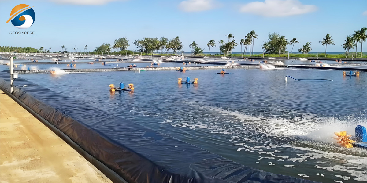 Цена на мембрану HDPE для облицовки прудов и рыбоводства Цена на мембрану HDPE для облицовки прудов и рыбоводства